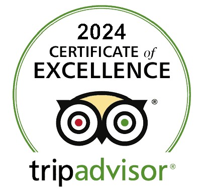 avis tripadvisor